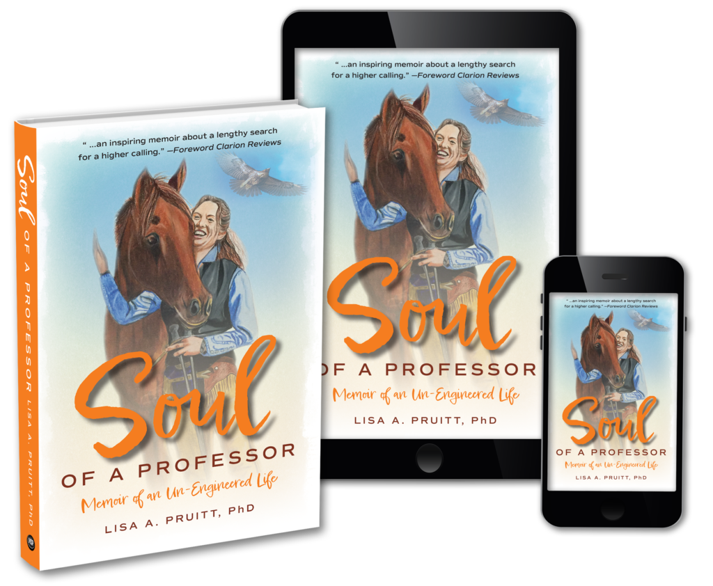 lisa pruitt soul of a professor 3D three final